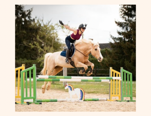 Wild challenge – bitless riding in competitions
