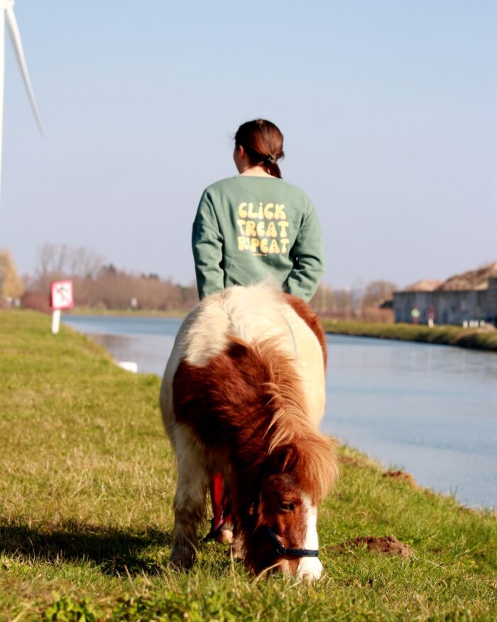 Click Treat Repeat - crewneck