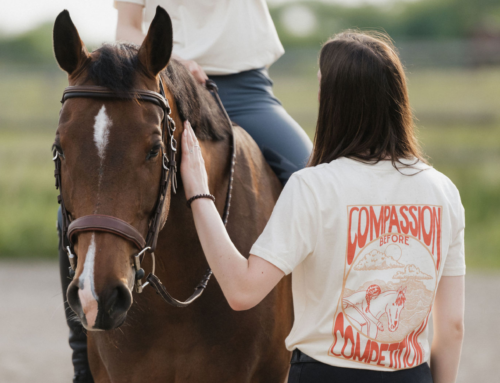 la COMPASSION dans le monde du cheval